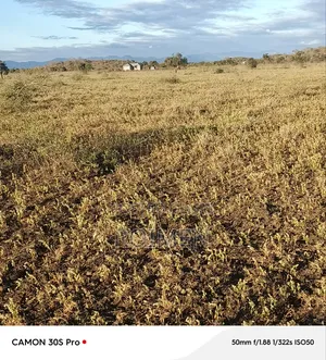 Commercial Land