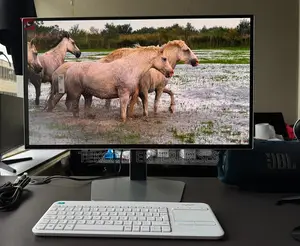 Samsung Odyssey G8 Oled 27" Gaming Monitor