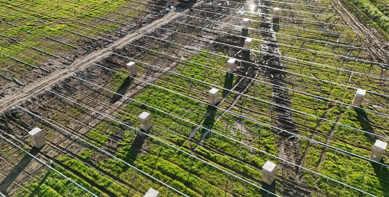 Utility-Scale Solar Energy Solutions