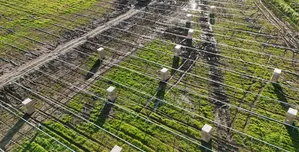Utility-Scale Solar Energy Solutions