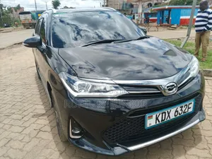 Toyota Corolla Fielder 2019 Black