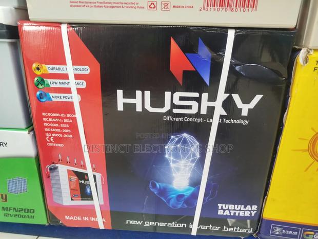 Husky Tall Tubular Solar Battery 200ah - thumbnail 2