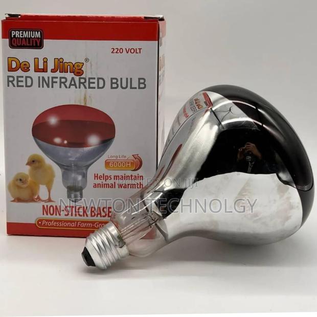 Red Infrared Chicken Bulb With Non Stick Base