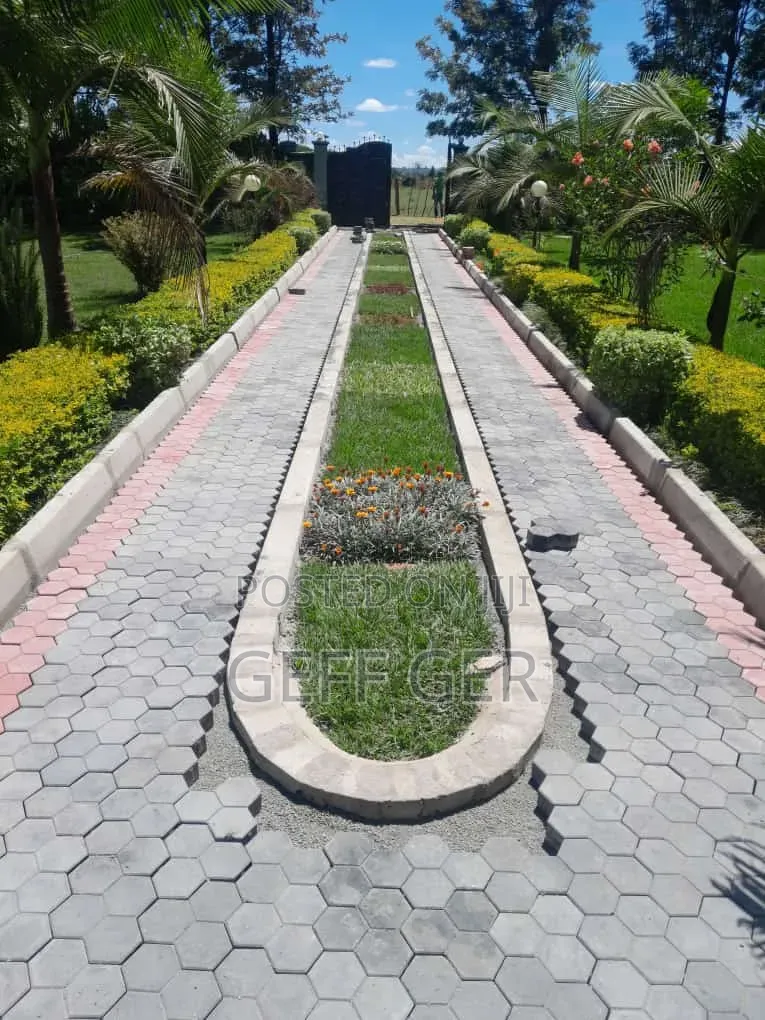 Landscaping Designs and Construction Masters