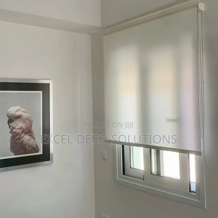 Sunscreen Roller Blinds Window Blinds for Natural Light Control