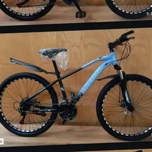 Size 24 Bike