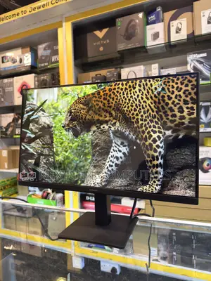 Samsung Ls22d300gamxue 22-Inch Ips Fhd(1080p) 100hz Frameless Monitor
