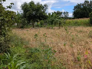 3/4 Acre Land for Sale in Ndaba, Kirinyaga County.