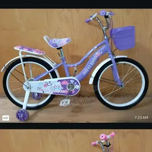 Size 20 Girl Bike