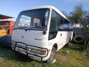 Mitsubishi Fuso Rosa 2005 White