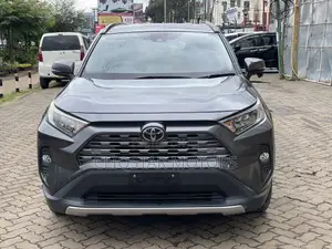 Toyota RAV4 Adventure 2019 Gray