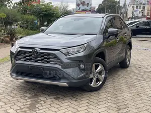 Toyota RAV4 Adventure 2019 Gray