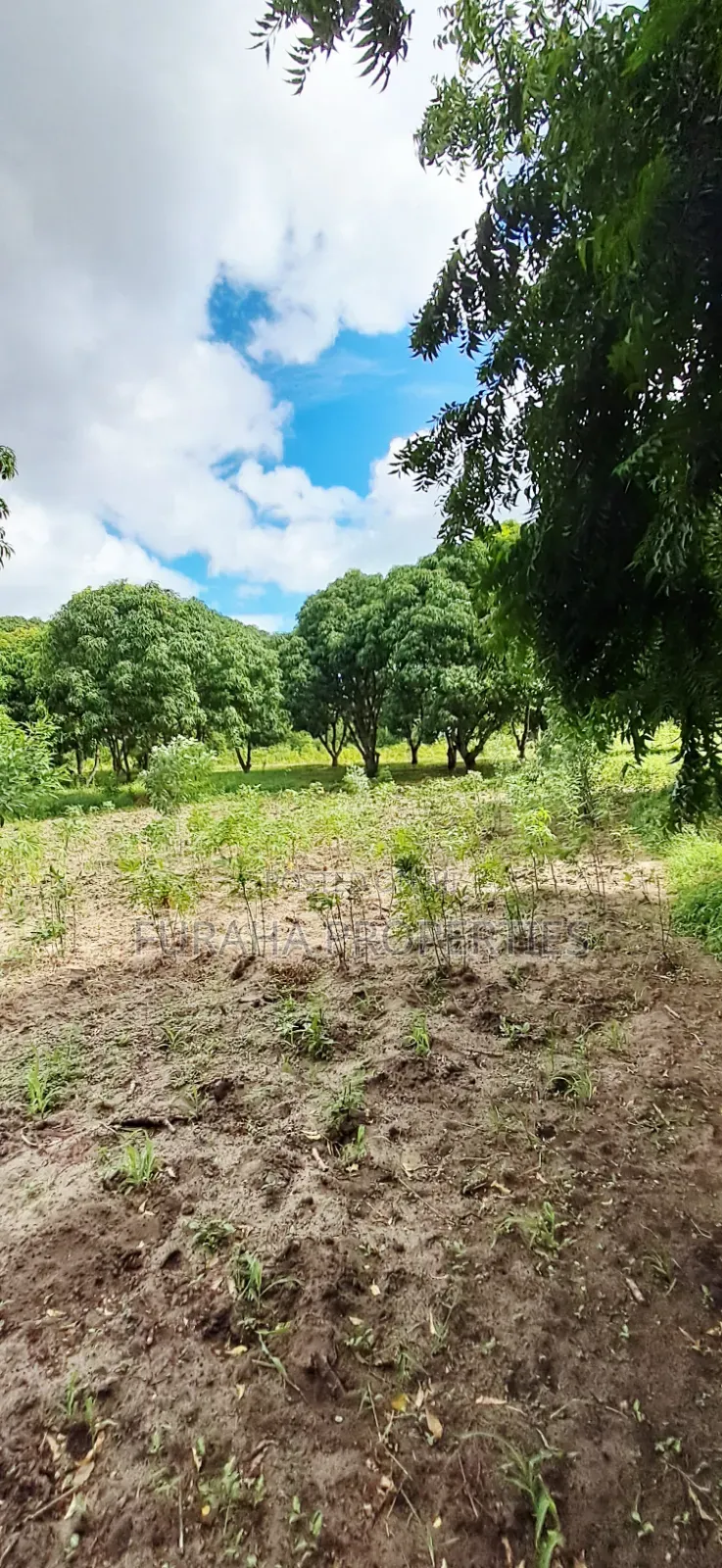 For Sale 6 Acres Prime Plot Mtwapa