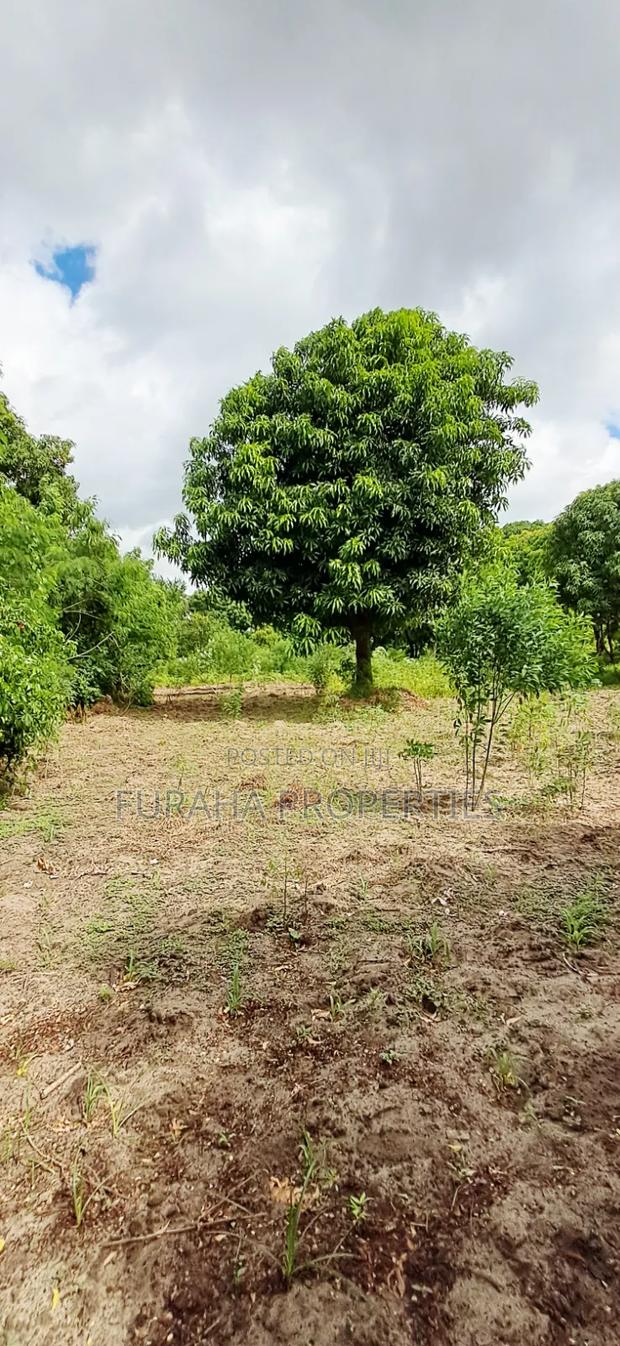 For Sale 6 Acres Prime Plot Mtwapa - thumbnail 2