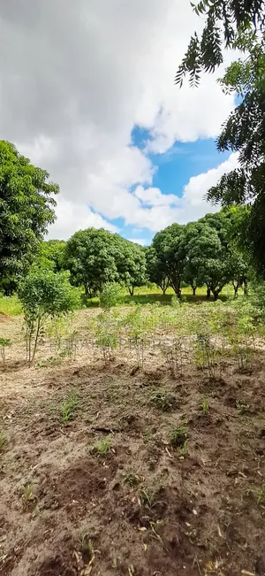 For Sale 6 Acres Prime Plot Mtwapa