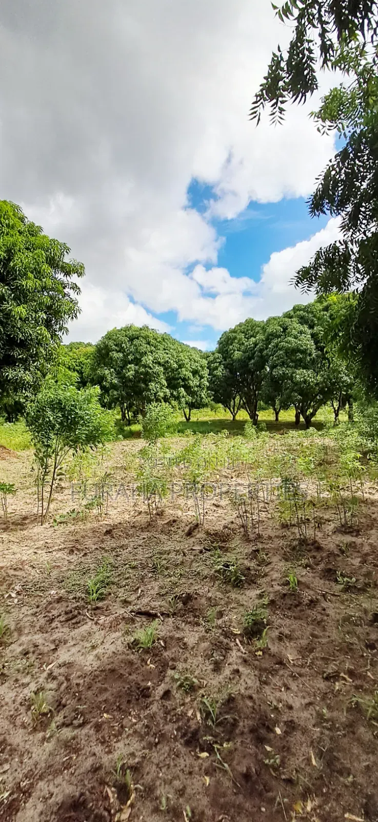 For Sale 6 Acres Prime Plot Mtwapa