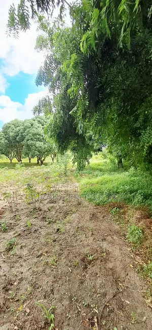 For Sale 6 Acres Prime Plot Mtwapa