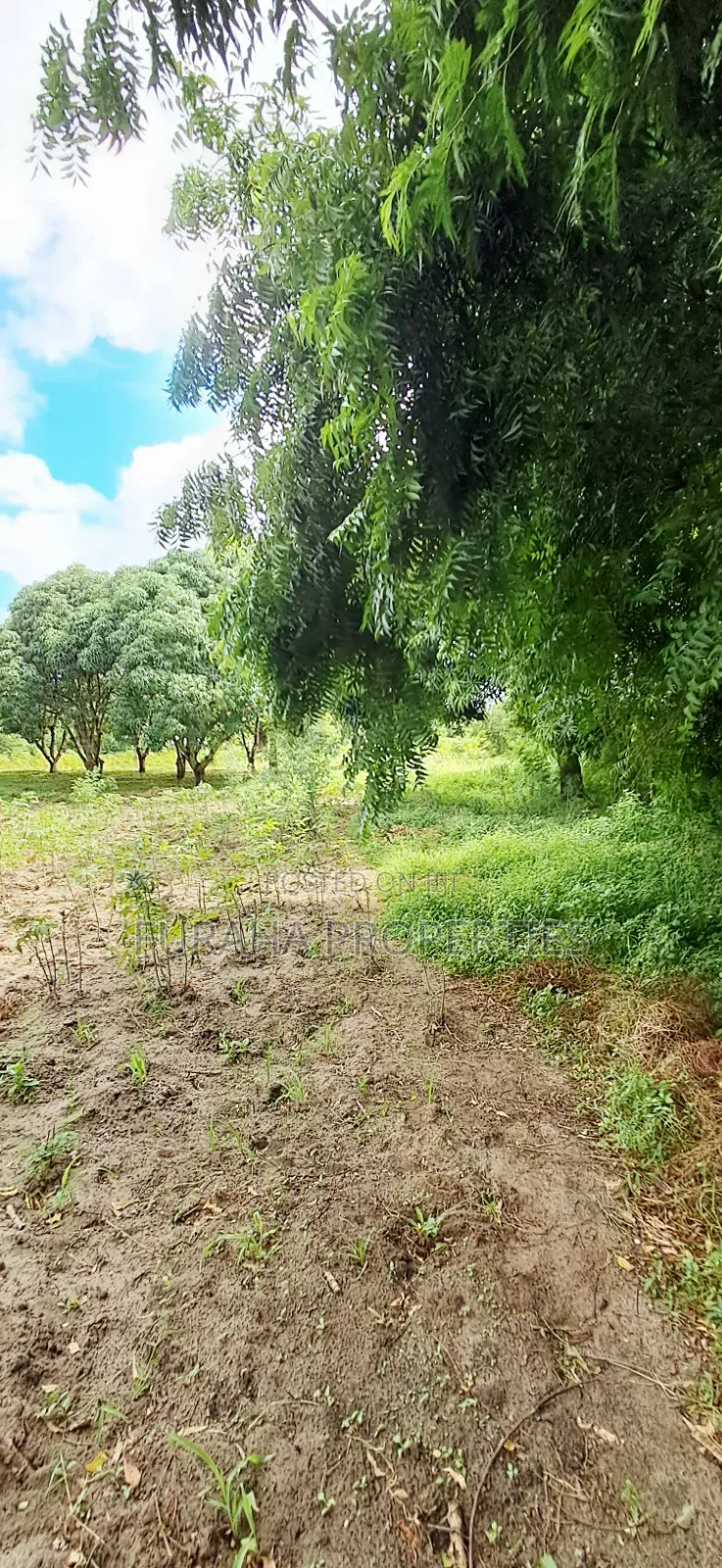 For Sale 6 Acres Prime Plot Mtwapa