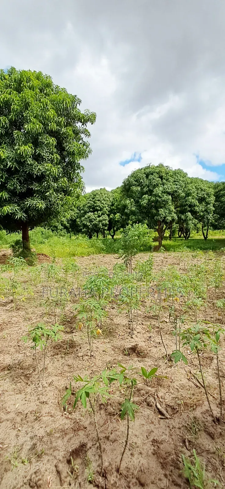 For Sale 6 Acres Prime Plot Mtwapa