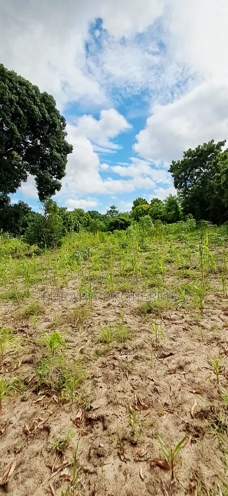 For Sale 6 Acres Prime Plot Mtwapa