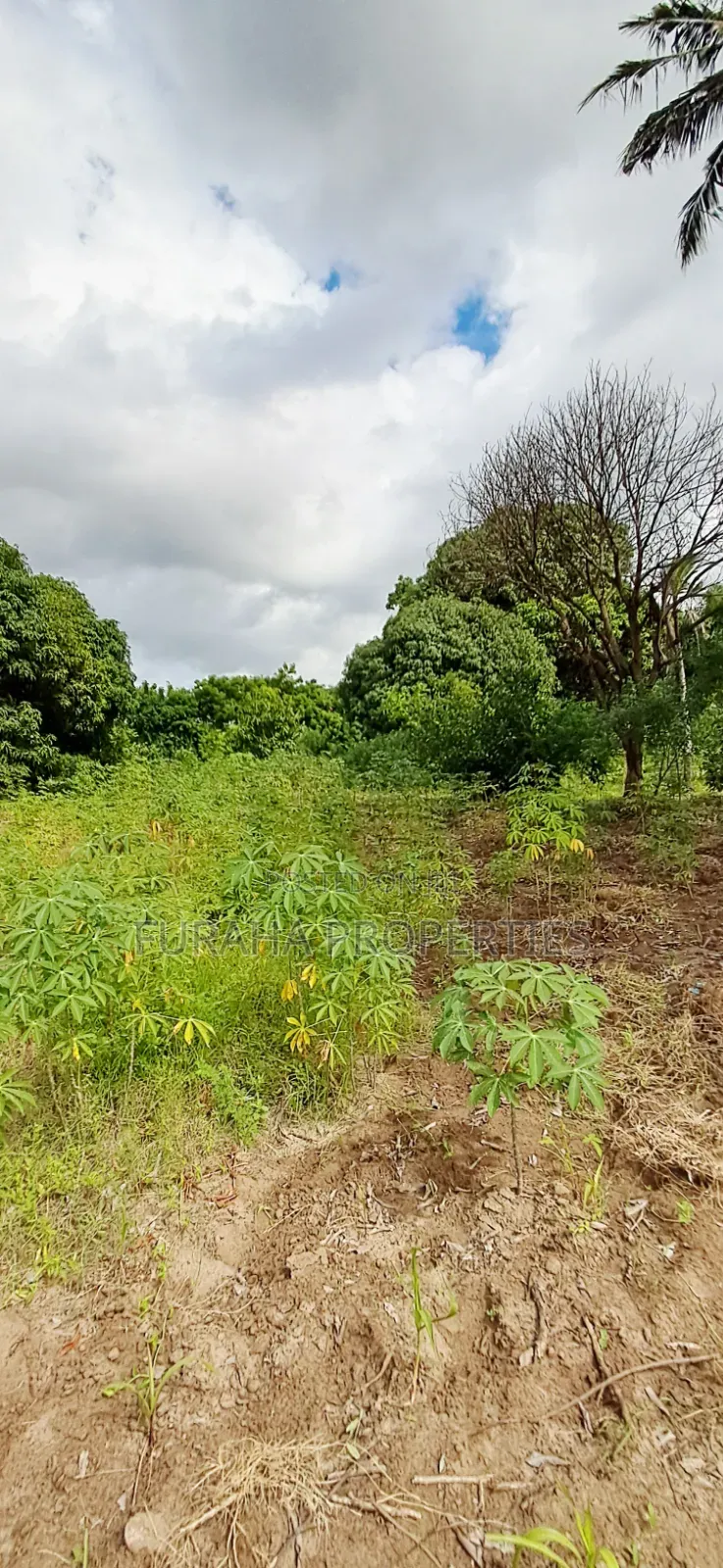 For Sale 6 Acres Prime Plot Mtwapa