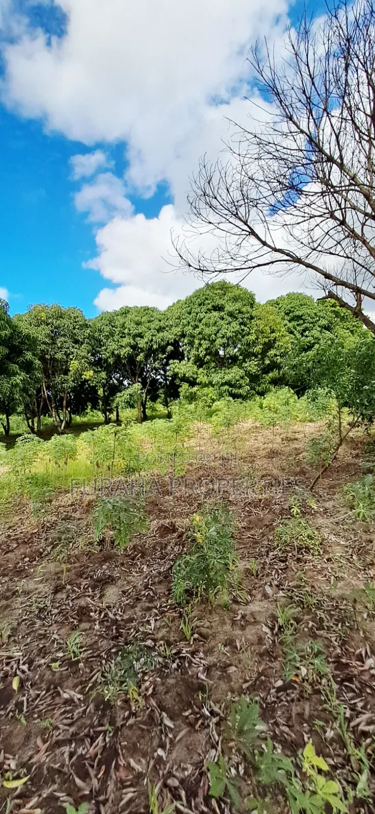 For Sale 6 Acres Prime Plot Mtwapa