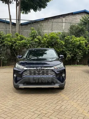 Toyota RAV4 XLE Premium AWD 2019 Black