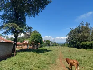 0.75 Acre Parcel in Maboleo 200m From Tarmac