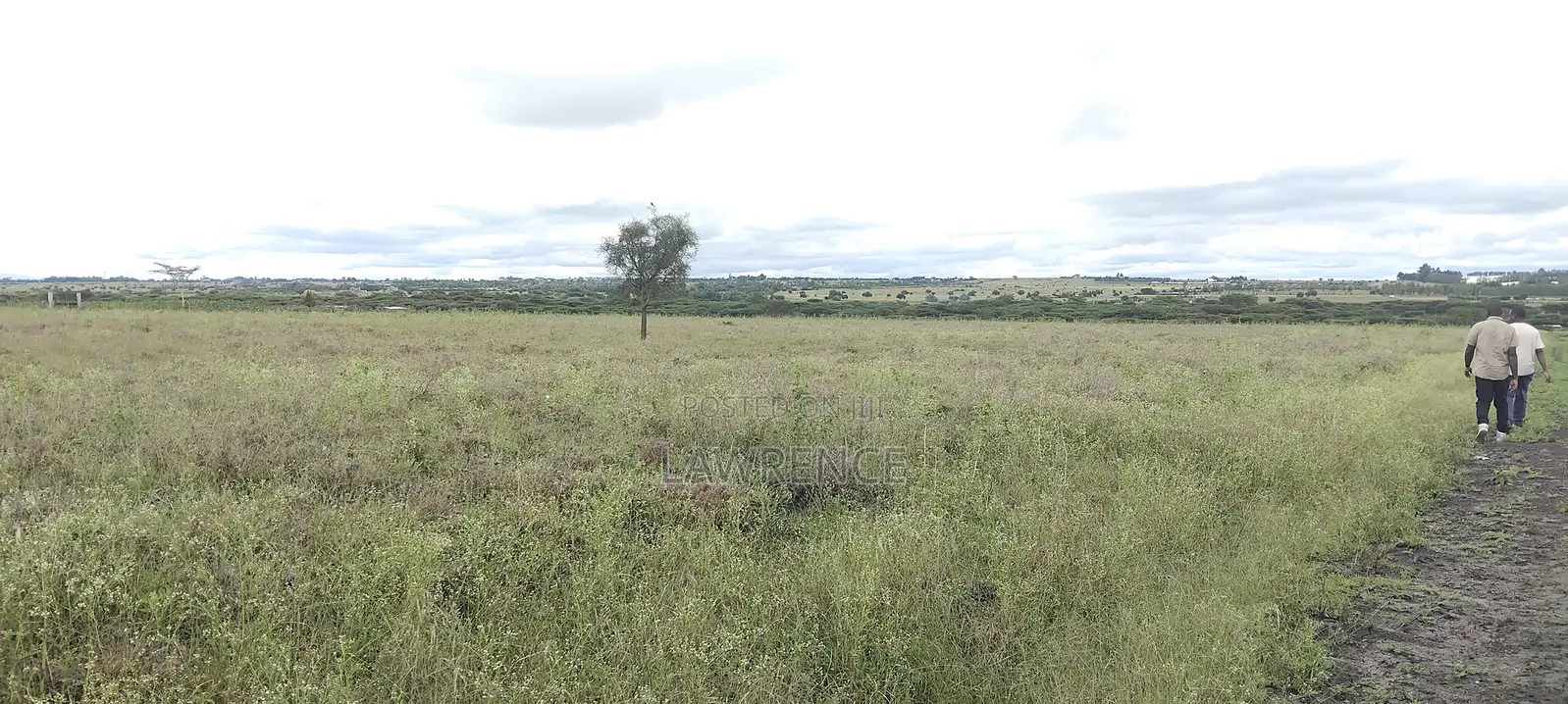 2 Acres for Sale Kisaju