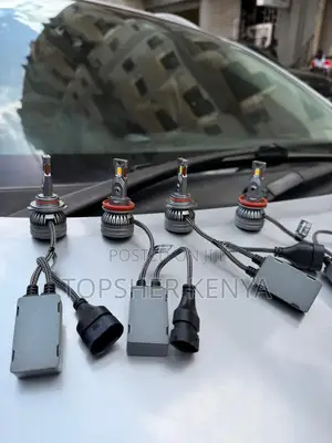 Fog Light Bulb