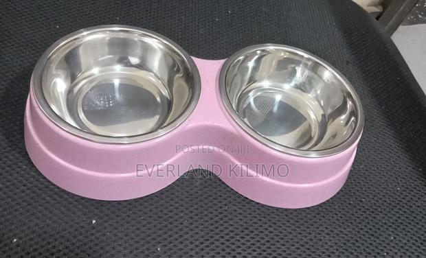 Stainless Steel Dog Food Bowls