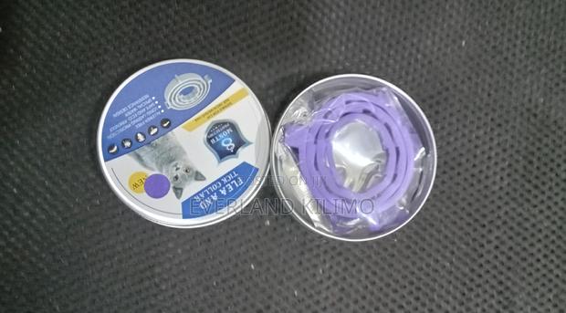 Adjustable Flea Collar - Small