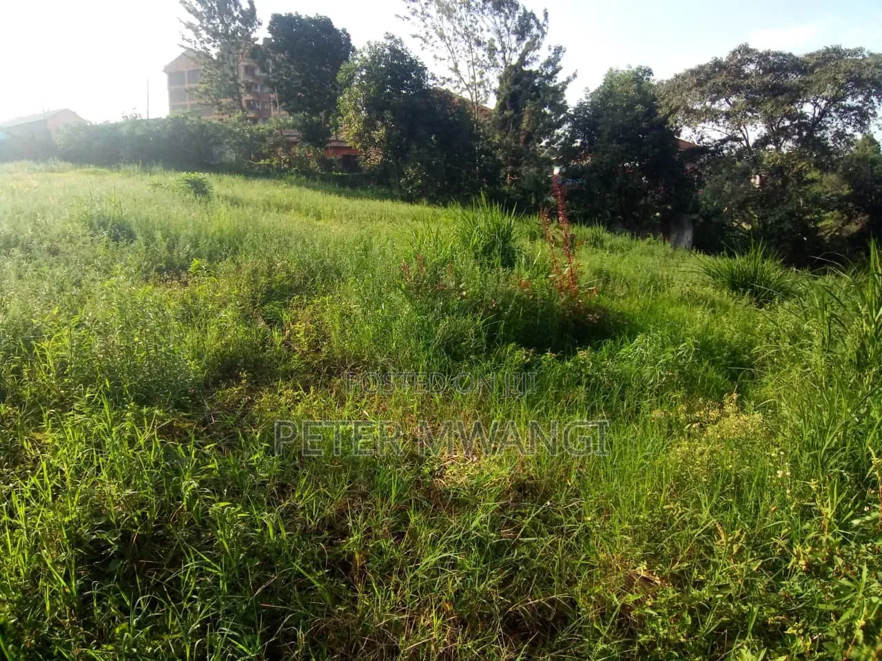 Half an Acre Plot for Sale