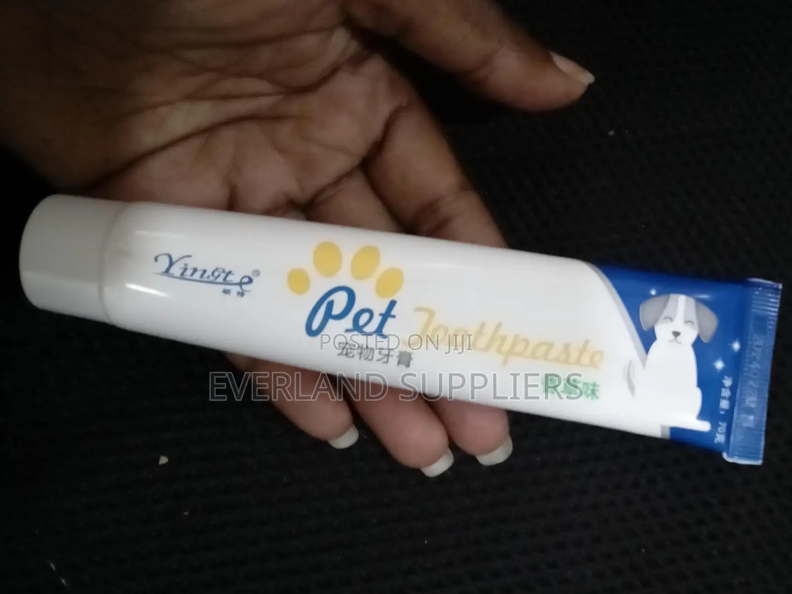 Vanilla-Flavored Toothpaste for Dogs