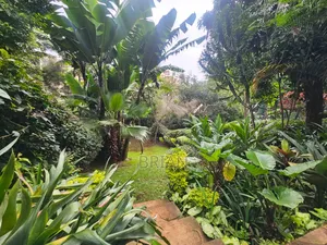 4bdrm Maisonette in Statehouse Area for rent