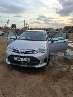 Fielder Car Hire
