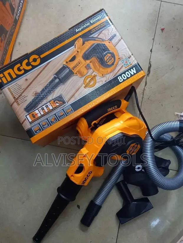 Ingco Aspirator Blower 800w