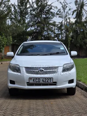 Toyota Corolla Fielder 2009 White