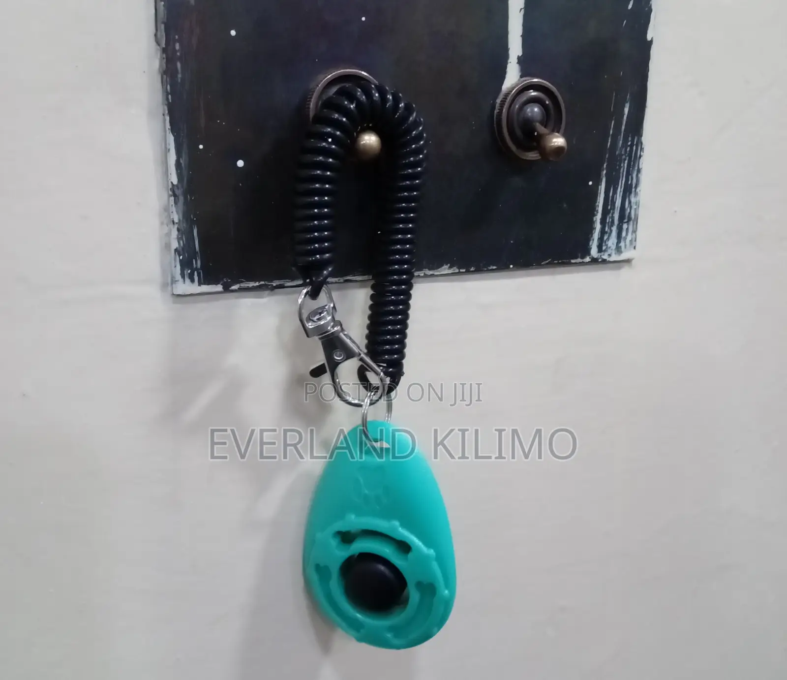 Green Dog Training Clicker
