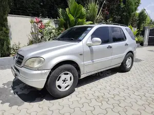 Mercedes-Benz M Class ML 350 2004 Silver