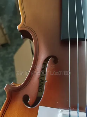 Premier 4/4 Violin