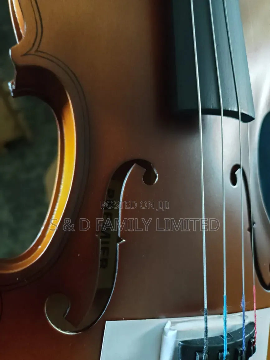 Premier 4/4 Violin