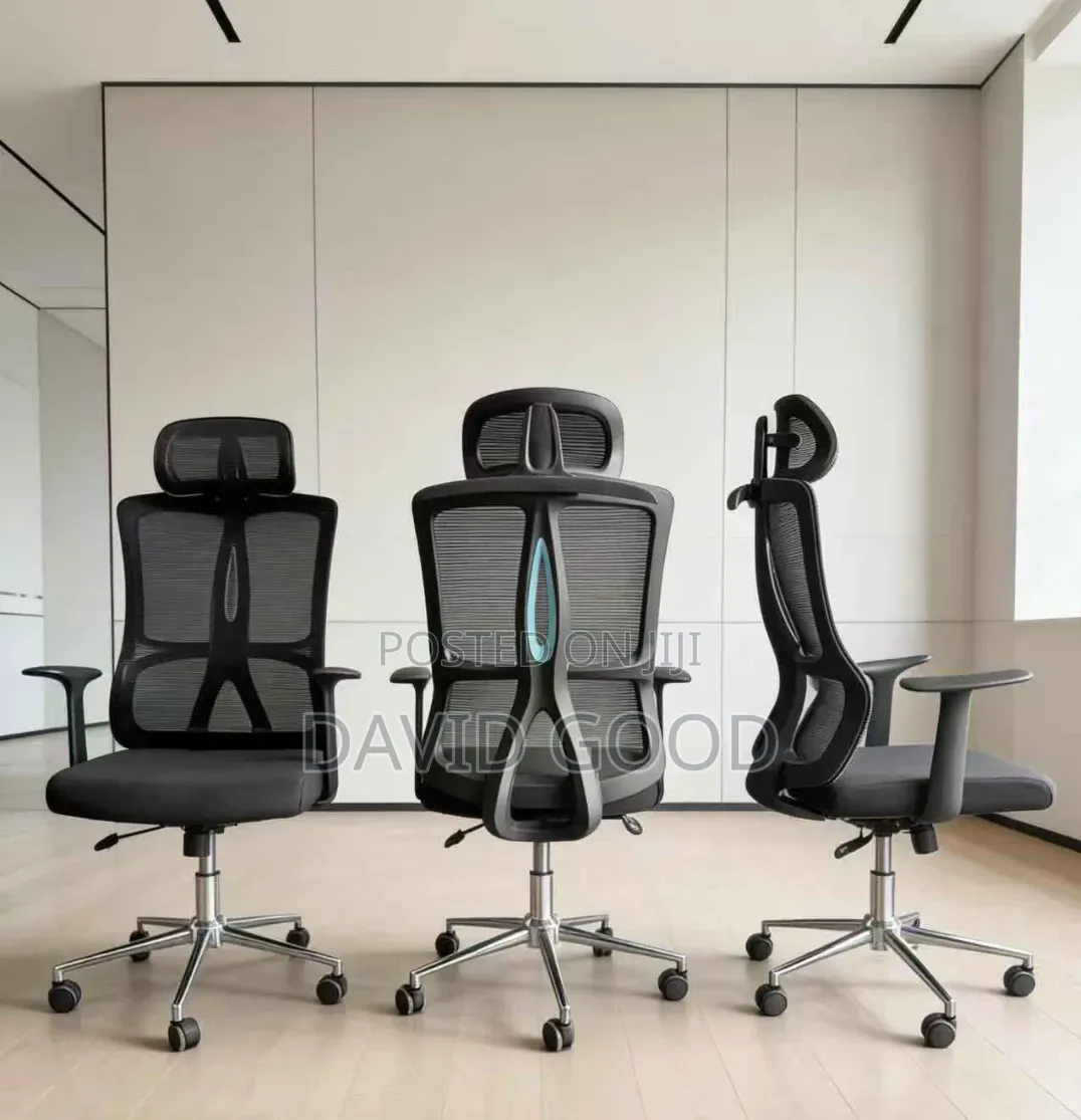 Ergonomic Chair