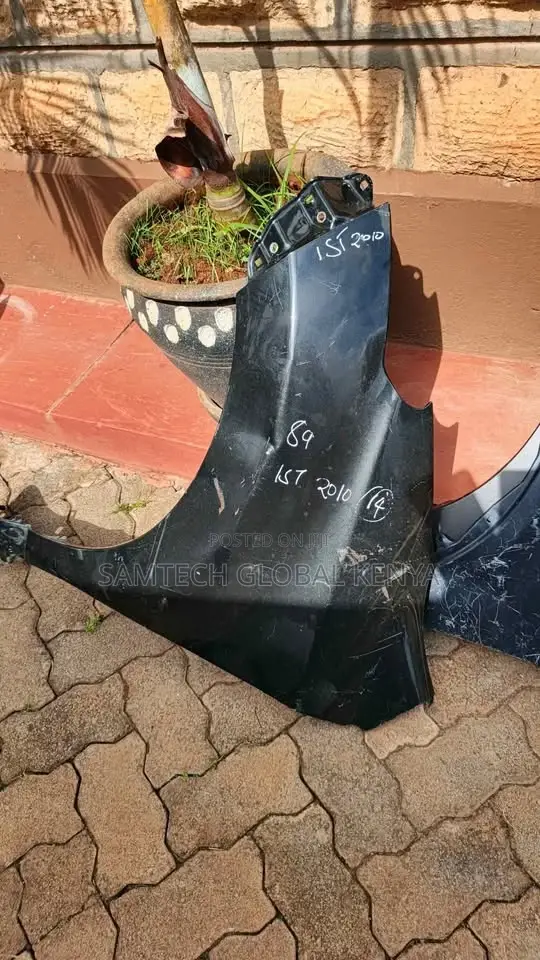 Premium Ist 2010 Car Wing