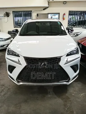 Lexus NX 300 AWD 2019 Pearl