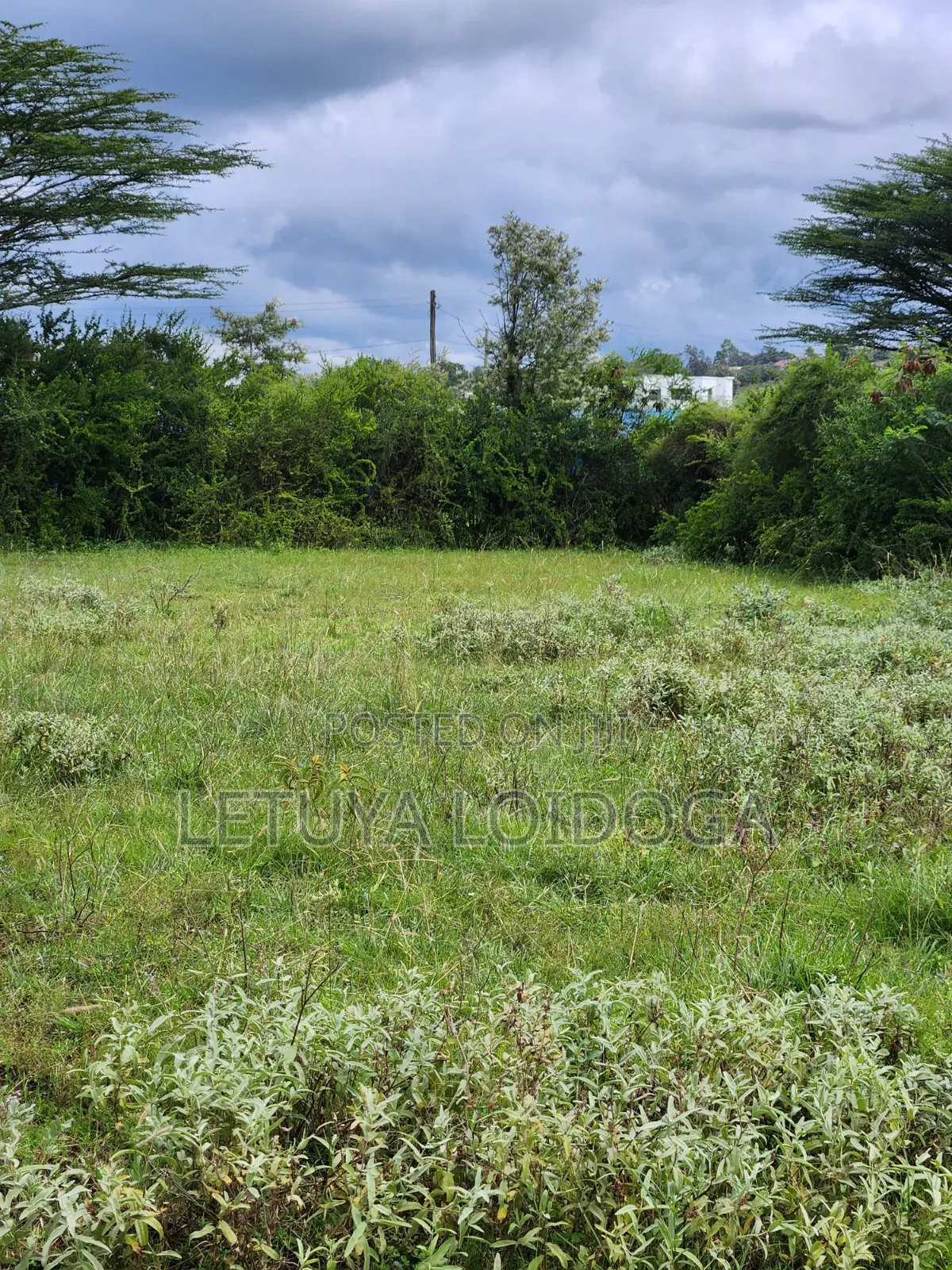 1⁄8 Acre Plots Ngong-Kibiko (Booster Road)