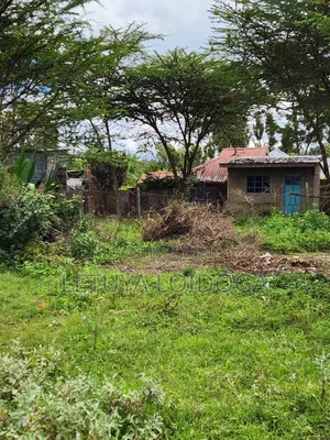 1⁄8 Acre Plots Ngong-Kibiko (Booster Road)