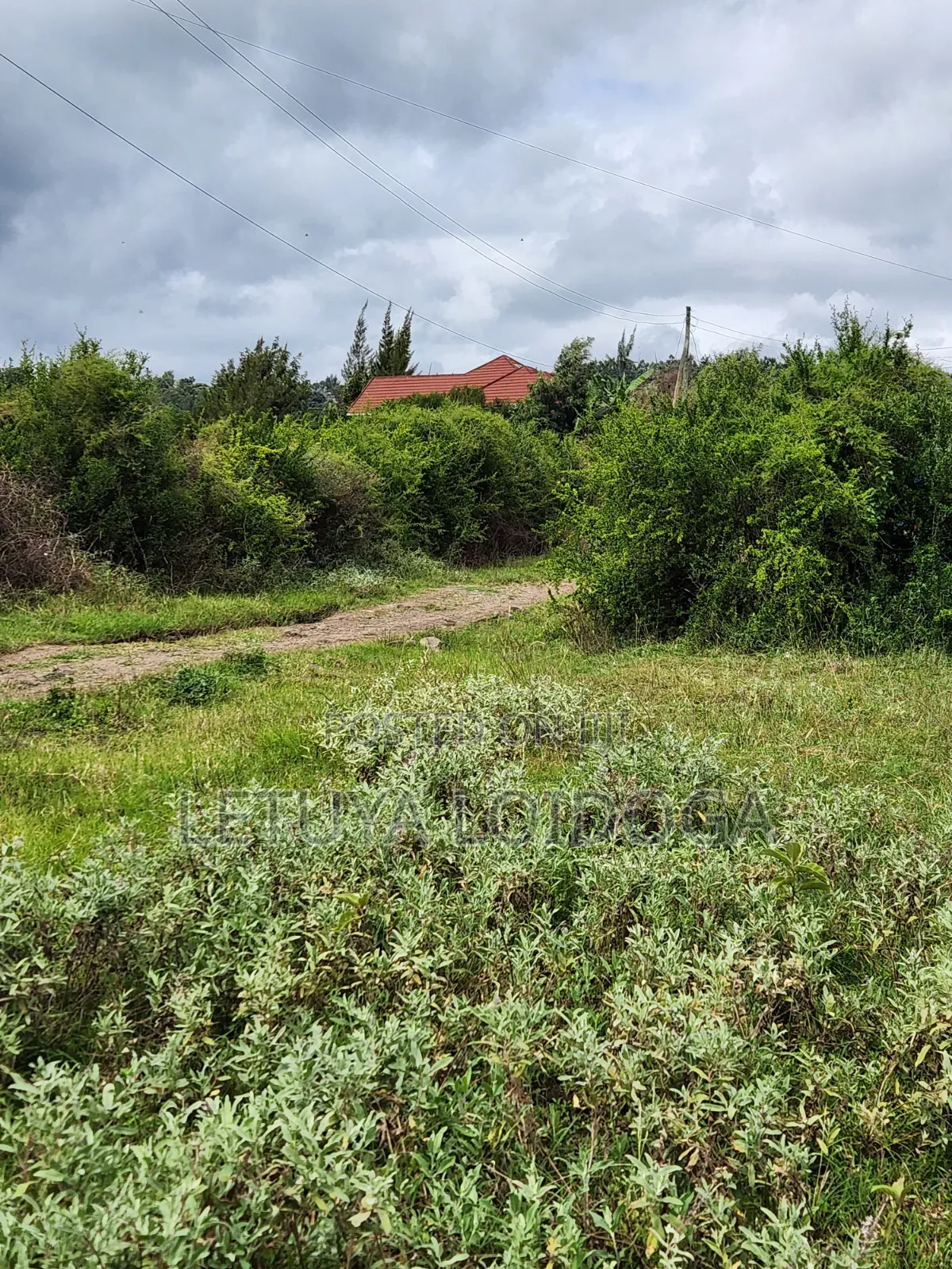 1⁄8 Acre Plots Ngong-Kibiko (Booster Road)