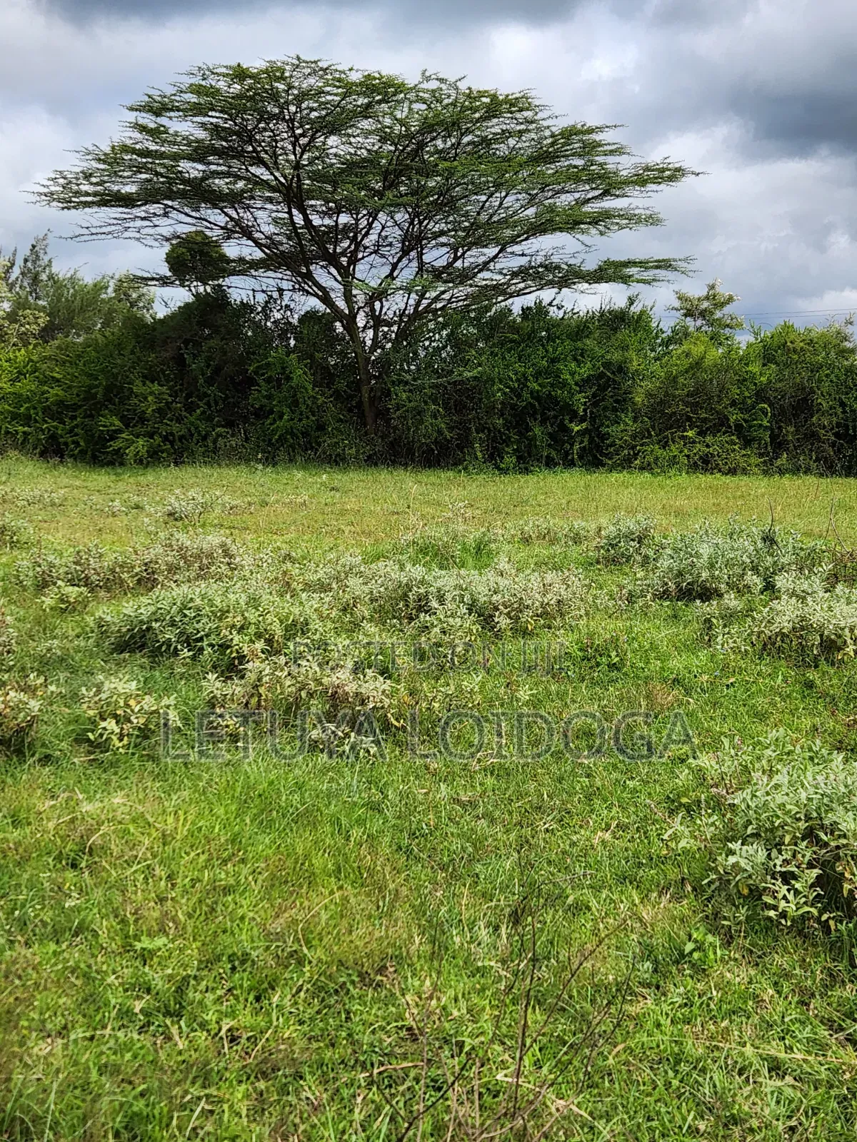 1⁄8 Acre Plots Ngong-Kibiko (Booster Road)
