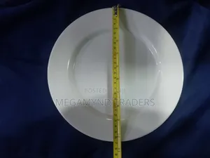 12pc Melamine Dinner Plate / Melamine Dinner Plate 10inch